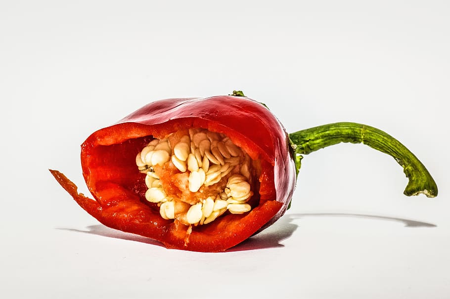 red bell pepper, food and drink, studio shot, healthy eating HD wallpaper