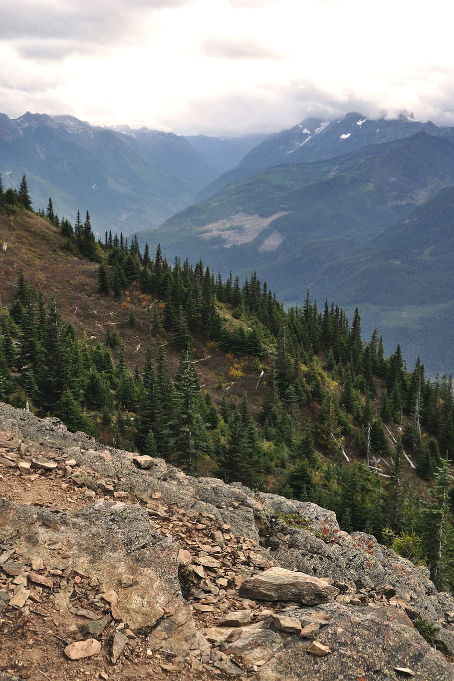 hike, elk mountain, thurston, chilliwack, bc, canada, environment, HD wallpaper