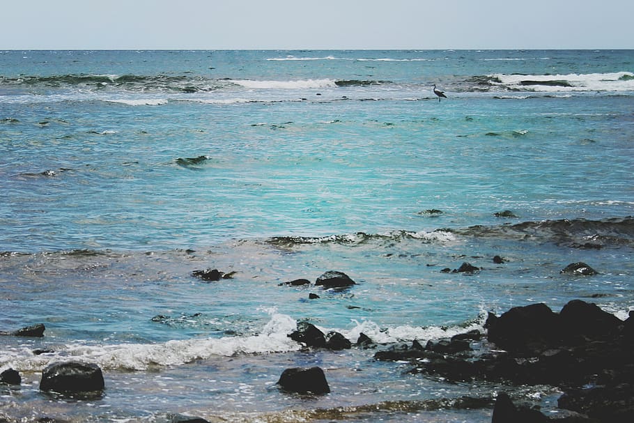 Hd Wallpaper Spain Antigua Caleta De Fuste Beach Mar Fuerteventura Azul Wallpaper Flare