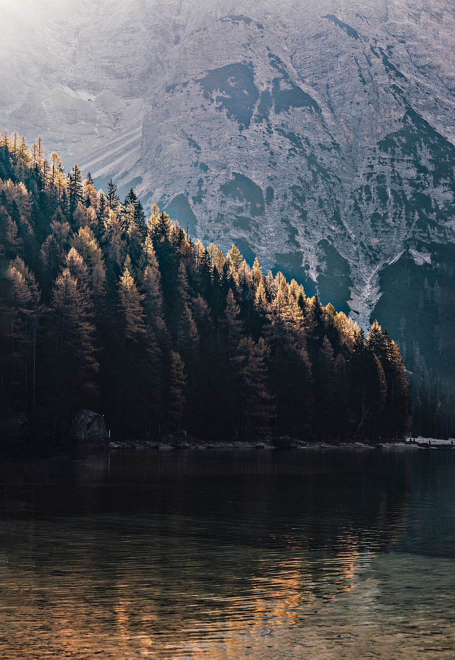 Photo of Lake Near Forest, 4k wallpaper, calm, environment, HD wallpaper HD wallpaper