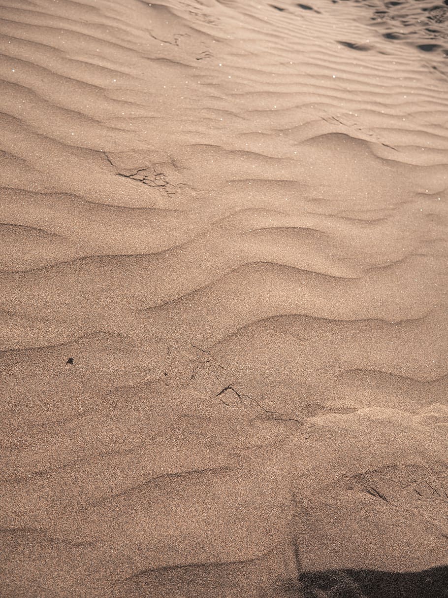 Brown Sand, beach sand, daylight, dry, footprint, hot, landscape HD wallpaper