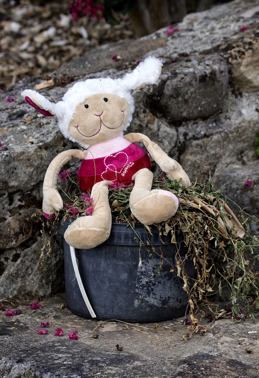 doudou, plush, sitting, soft, childhood, cute, garden, pierre HD wallpaper
