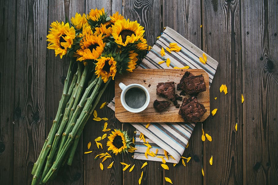 sunflower, coffee, drink, board, napkin, brownies, sweets, dessert HD wallpaper