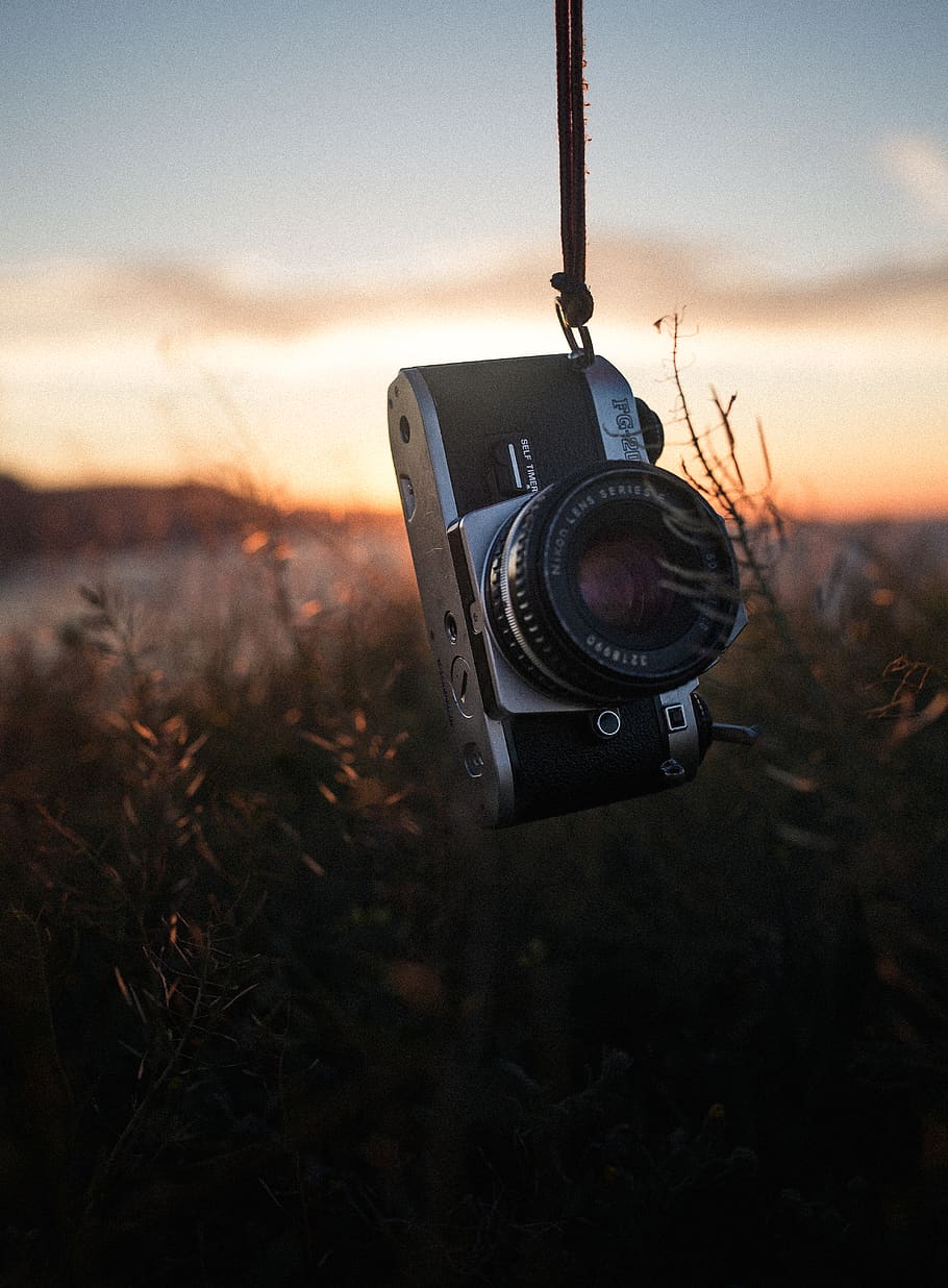 nature, trees, camera, slr, vintage, retro, colors, mood, moody HD wallpaper