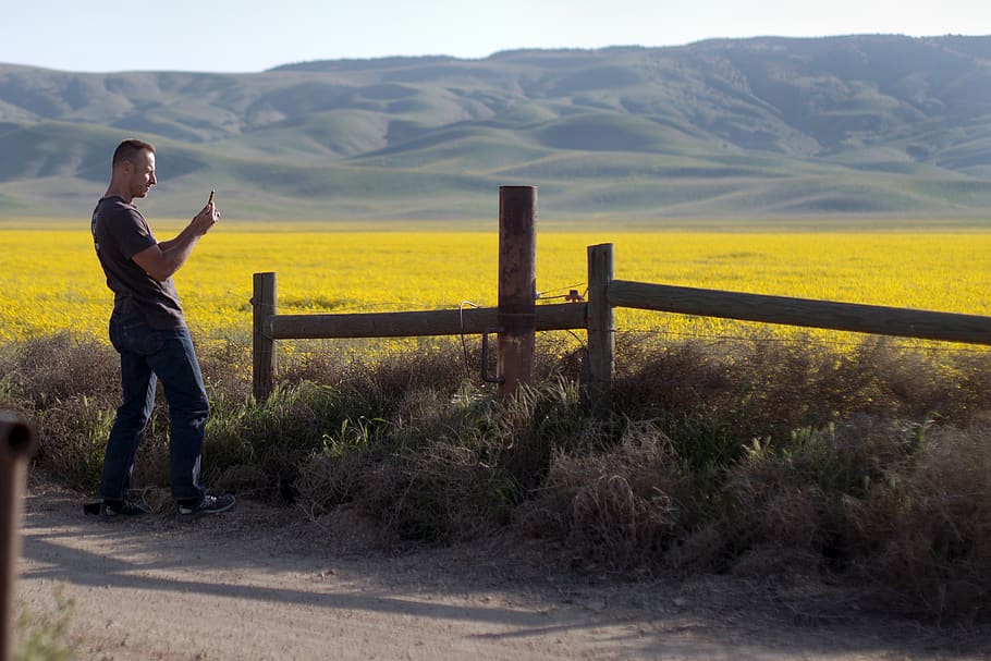 united states, santa margarita, carrizo plain national monument, HD wallpaper