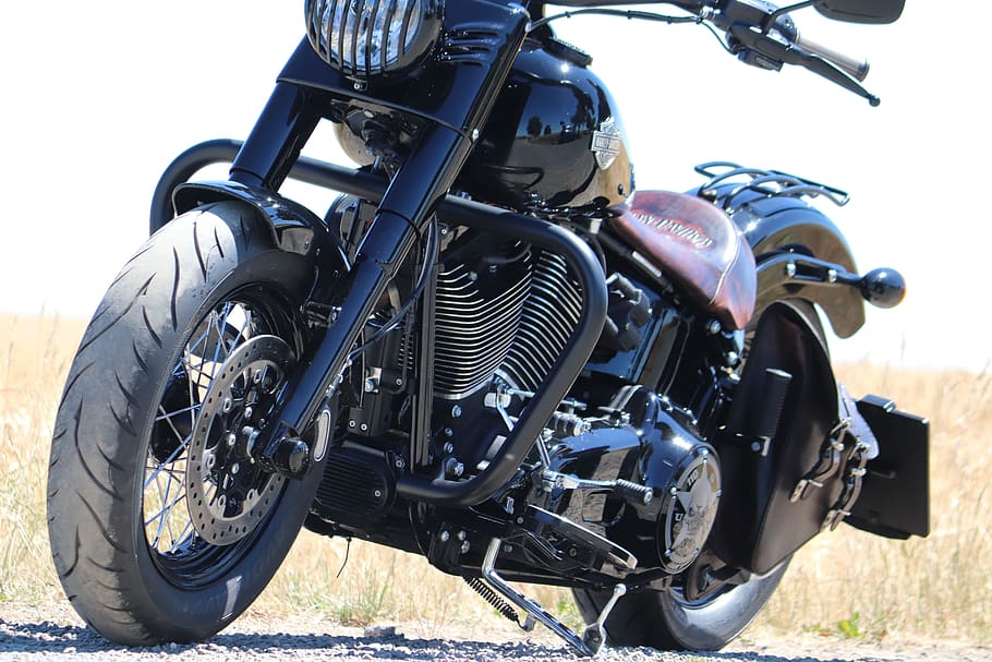 harley, davidson, motorcycle, biker, transportation, day, mode of transportation HD wallpaper