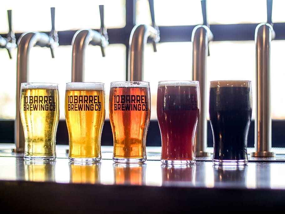 Five Clear Glass With Alcoholic Beverages, ale, assorted, bar HD wallpaper