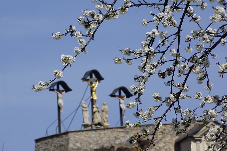 calvary, graz, spring, flowers, crosses, christianity, monument HD wallpaper