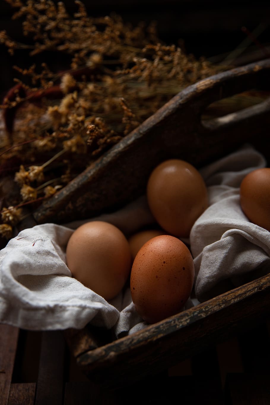 brown eggs, brooklyn, united states, basket, apricot, plant, produce HD wallpaper