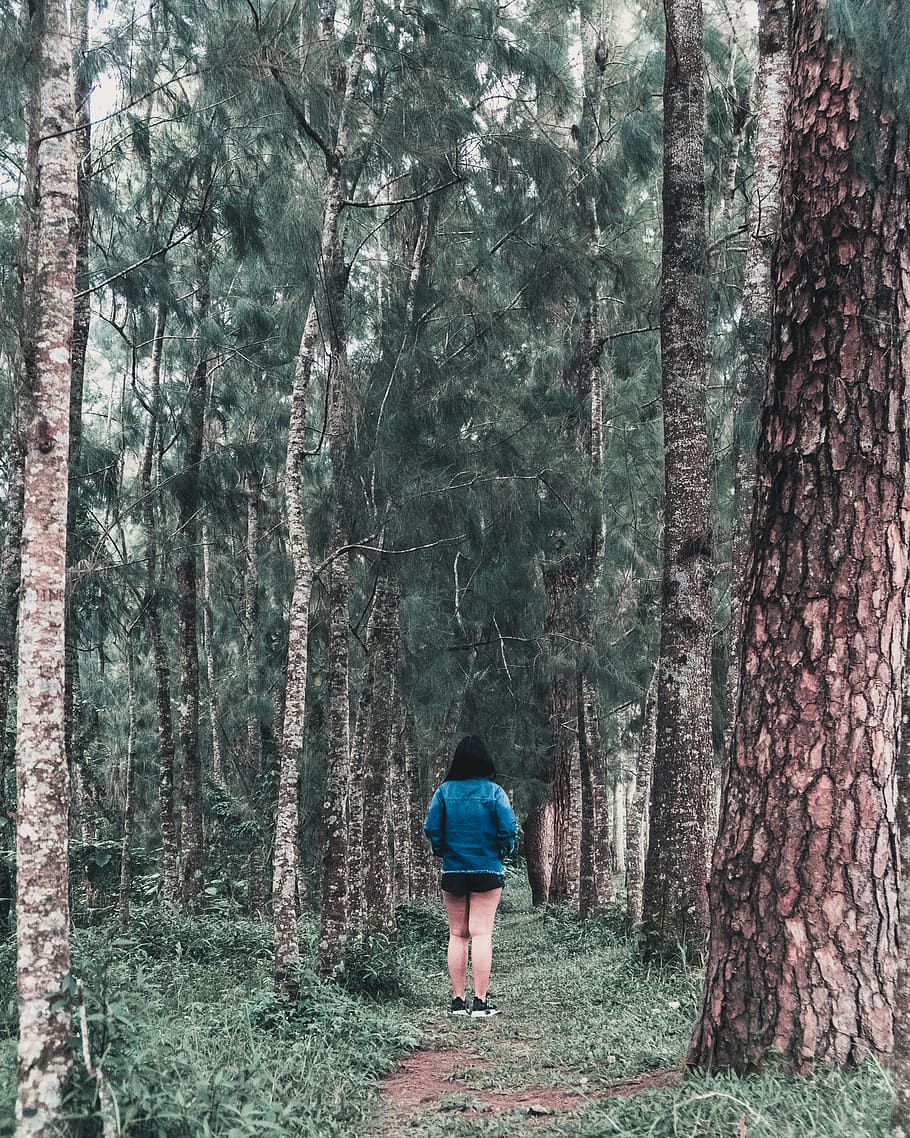 forest, trees, mood, plant, tree trunk, one person, land, real people HD wallpaper