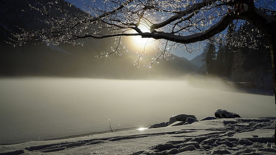winter, lake, ice, wintry, snow, landscape, fog, cold, frozen lake HD wallpaper
