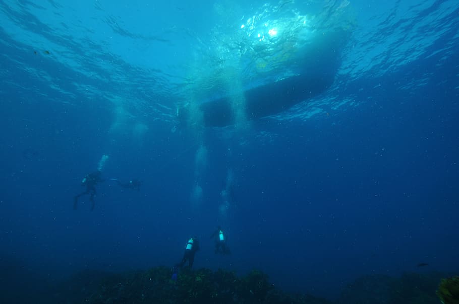 three divers dived on water, underwater, sea, adventure, undersea, HD wallpaper
