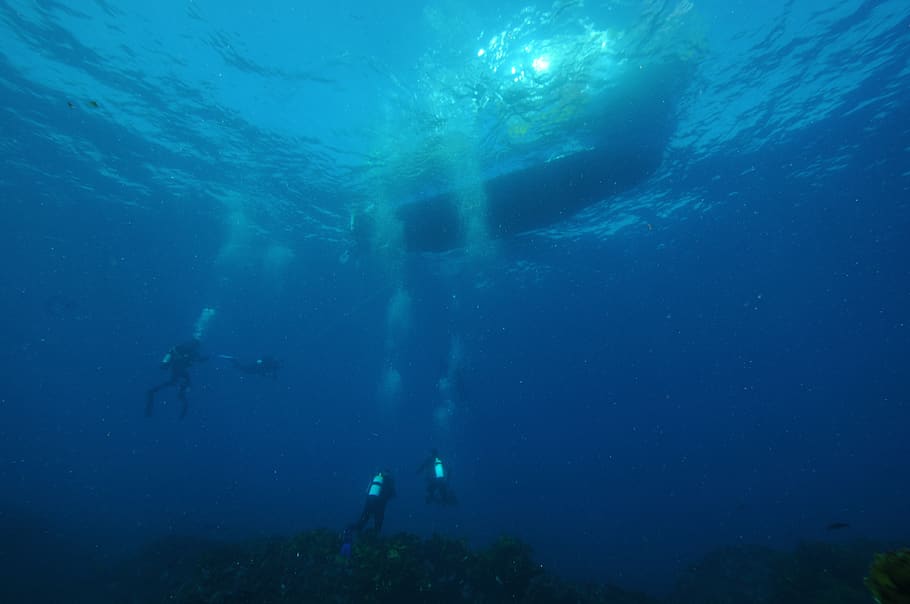 three divers dived on water, underwater, sea, adventure, undersea HD wallpaper