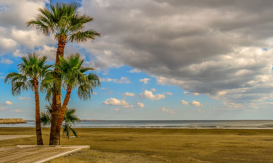 beach, palm trees, sky, clouds, sea, island, sand, landscape HD wallpaper