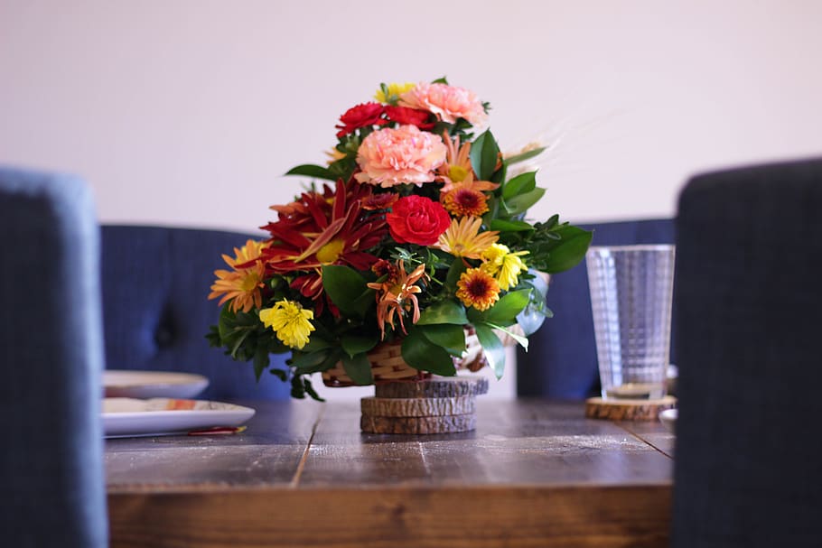 flower, table, coaster, glass, chair, green, red, yellow, blue HD wallpaper