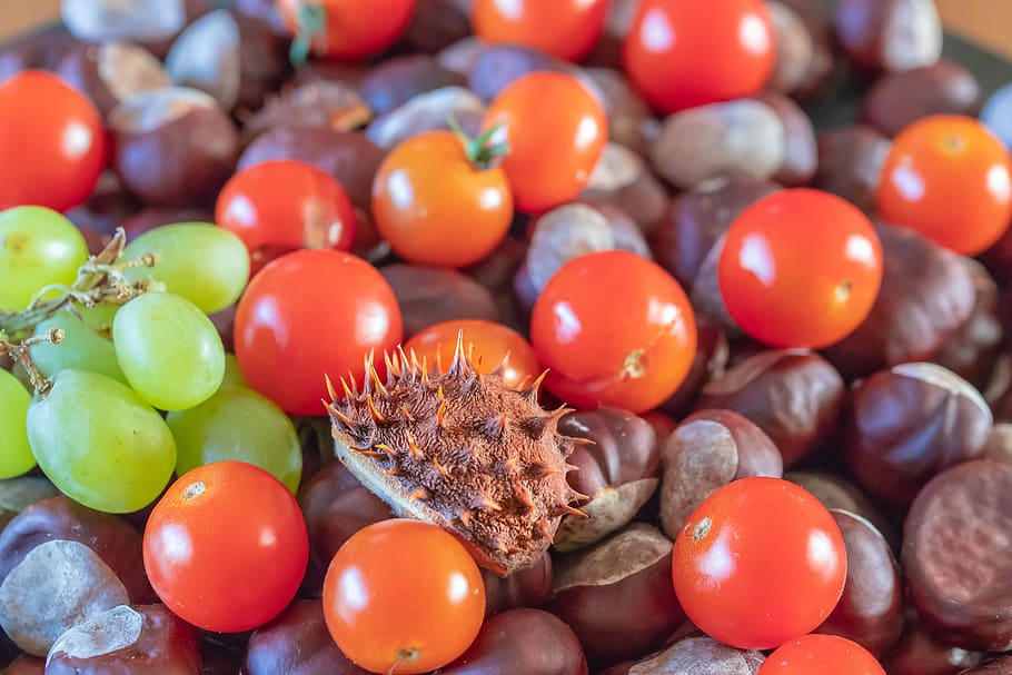 tomatoes, chestnuts, grapes, assortment, fruits, seasonal, october HD wallpaper