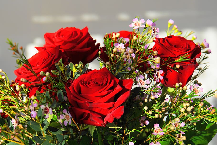 Romantic Love Flowers Photos | Best Flower Site