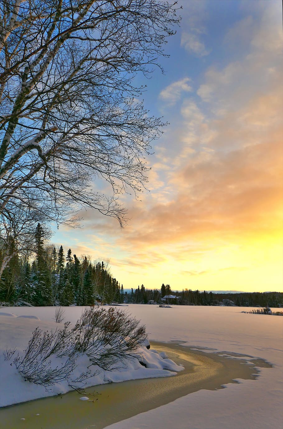 landscape, winter, cold, nature, trees, birch, clouds, sky HD wallpaper