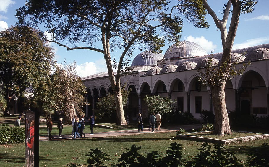 turkey, istanbul, topkapi, architecture, tree, built structure HD wallpaper