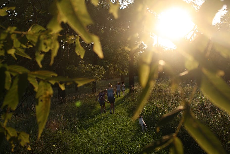 people surrounded by trees, plant, land, nature, sunlight, day HD wallpaper