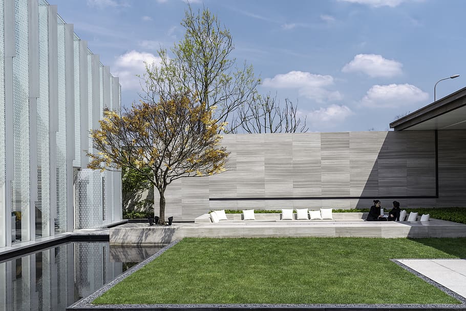 people sitting near tree, architecture, built structure, building exterior HD wallpaper