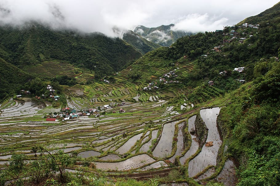 rice terraces view during day, nature, outdoors, field, grassland