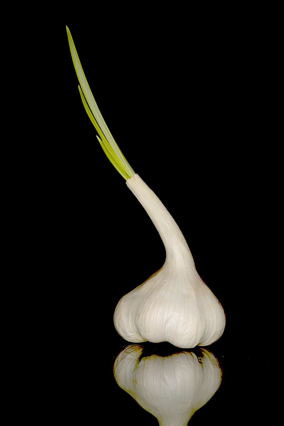 garlic, sharp, nutrition, tuber, healthy, mediterranean, kitchen HD wallpaper