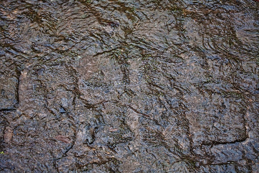wet, paving stones, rain, ground, road, cobblestones, water, HD wallpaper
