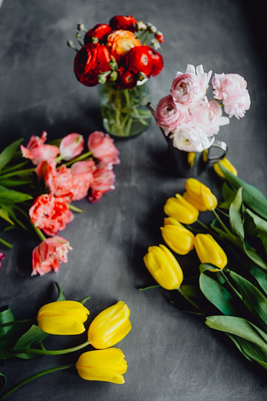 Colorful flowers on grey background with copy space, bloom, floral HD wallpaper
