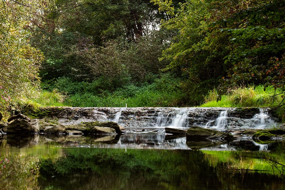 nature, landscape, scenery, view, green, grass, meadow, river HD wallpaper