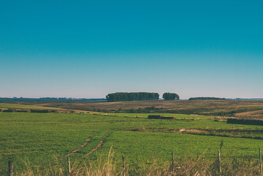 brazil, bagé, blue, green, field, horizon, farm, forest, trees, HD wallpaper