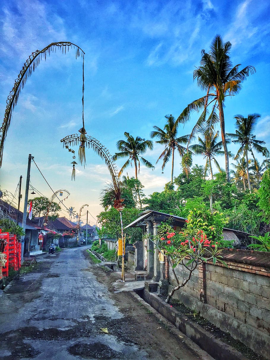 indonesia, lodtunduh, love, sunset, road, village, street, offerings