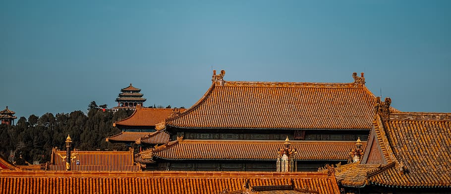brown building during daytime, architecture, religion, place of worship HD wallpaper