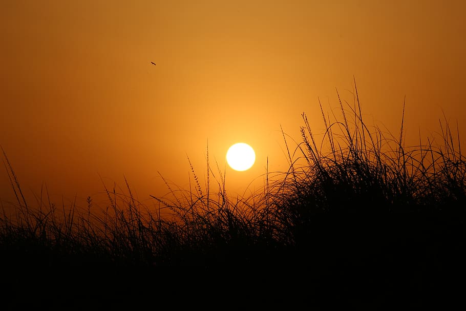 sunset, dawn, silhouette, landscape, dusk, nature, evening HD wallpaper