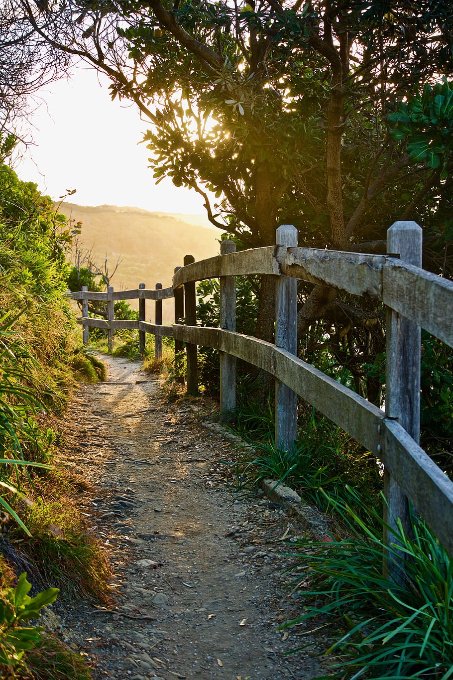 path, track, perspective, fence, sunlight, trail, wood, hiking HD wallpaper