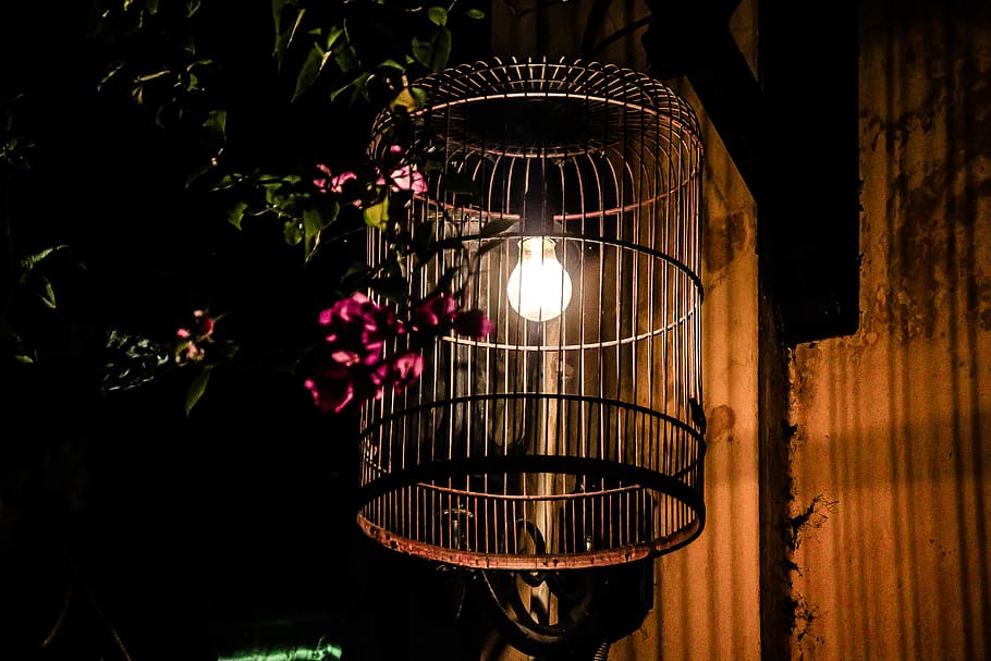 vietnam, thành phố hội an, hoi an ancient town, birdcage