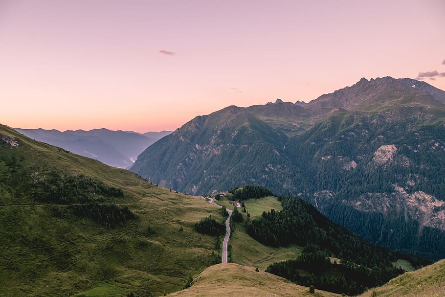 highland, path, road, trees, plant, green, grass, nature, landscape HD wallpaper